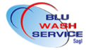 Logo Blu Wash Service