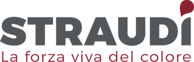 Logo Straudi, partner tecnologico di XGroup